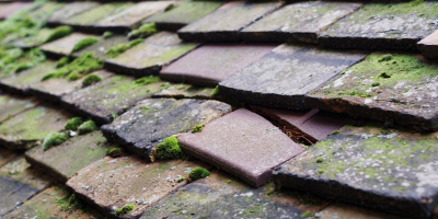 Wymington roof repair costs